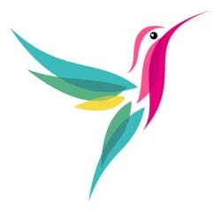 google hummingbird algorithm update