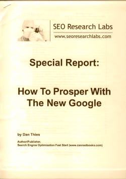 How to prosper with the new Google