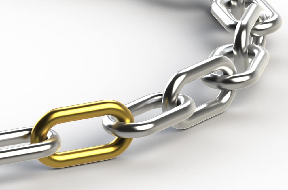 Silver Chain with one Golden link