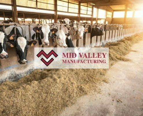 Mid Valley Manufacturing featured image of dairy cows feeding in a barn.