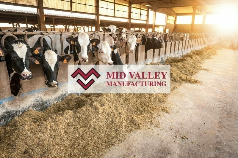 Mid Valley Manufacturing featured image of dairy cows feeding in a barn.