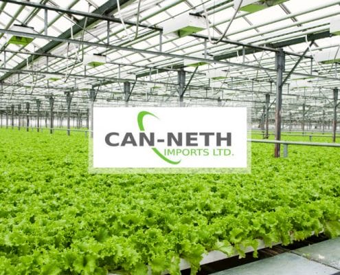 Can-Neth Imports Ltd. featured image of a large greenhouse full of healthy green plants.
