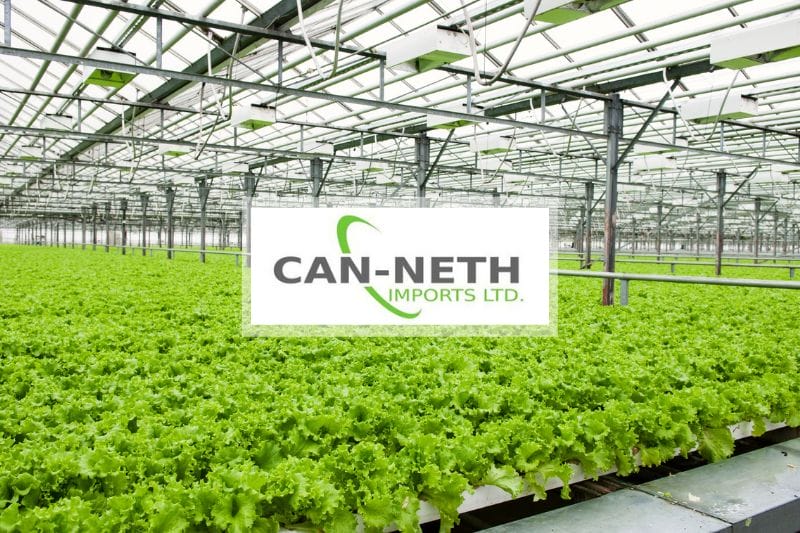 Can-Neth Imports Ltd. featured image of a large greenhouse full of healthy green plants.