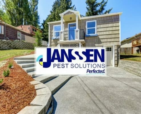 Janssen Pest Solutions featured image