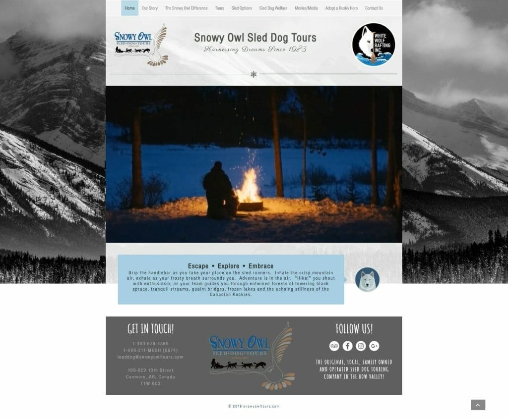 Snowy Owl Tours Website design layout