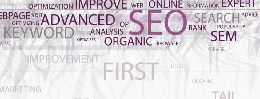 Advanced SEO Infographic showing related terms