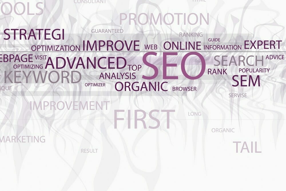 Advanced SEO Infographic showing related terms