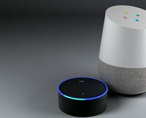 google home and alexa devices