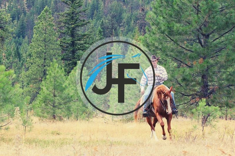 Jonathan Field Horsemanship featured image of a cowboy on a horse in a clearing.