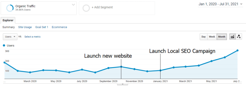 Organic traffic graph showing website growth from SEO campaign launch.
