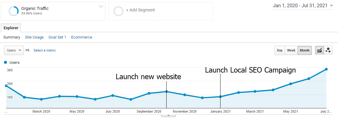 Organic traffic graph showing website growth from SEO campaign launch.