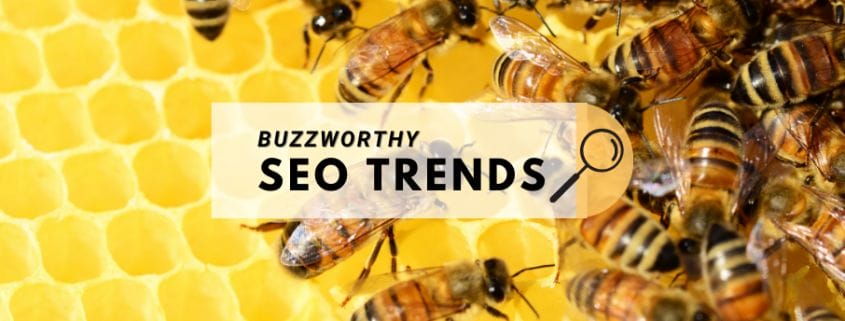 seo trends header with bees