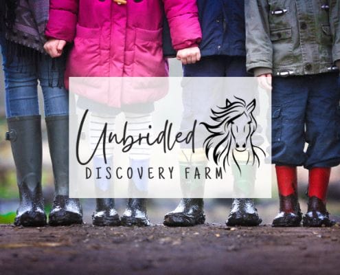 Unbridled Discovery Farm Web Design Portfolio