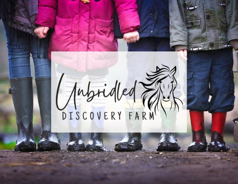 Unbridled Discovery Farm Web Design Portfolio