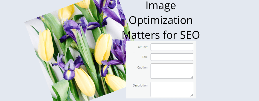 Graphic with a photo of tulips and the caption "Image Optimization Matters for SEO."