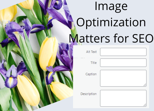 Graphic with a photo of tulips and the caption "Image Optimization Matters for SEO."
