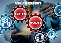 Ask an Expert graphic for an SEO Audit