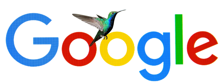 Google logo over a photo of a colorful hummingbird with a blurred background.