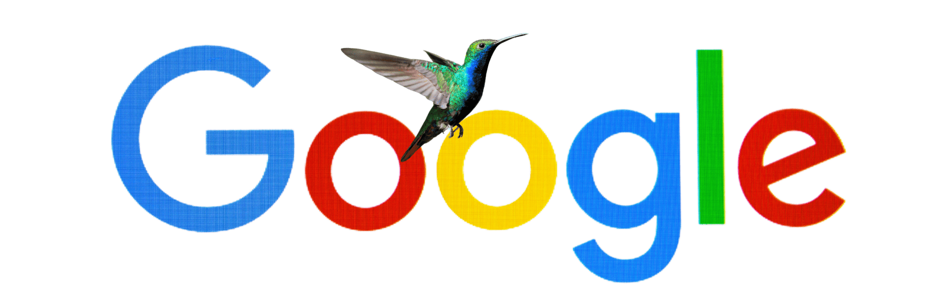 Google logo over a photo of a colorful hummingbird with a blurred background.