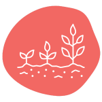 Illustration of three white plant sprouts of increasing size on a pink abstract background. The plants are depicted in a simple line style, representing growth and progression.