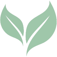 A minimalist green leaf logo with two stylized leaves diverging from a central stem, set against a transparent background.