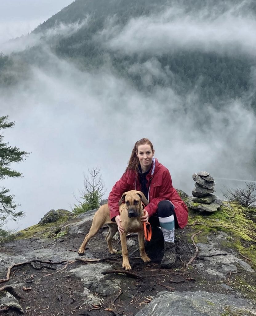 A person in a red jacket kneels beside a brown dog on a foggy, rocky mountain overlook. They're surrounded by mist and lush green trees, with stacked stones visible to the right.